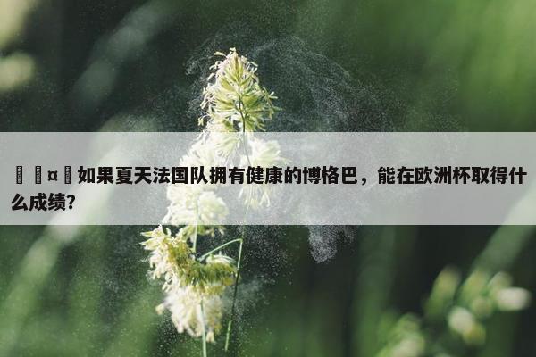 🤔如果夏天法国队拥有健康的博格巴，能在欧洲杯取得什么成绩？