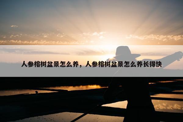 人参榕树盆景怎么养，人参榕树盆景怎么养长得快