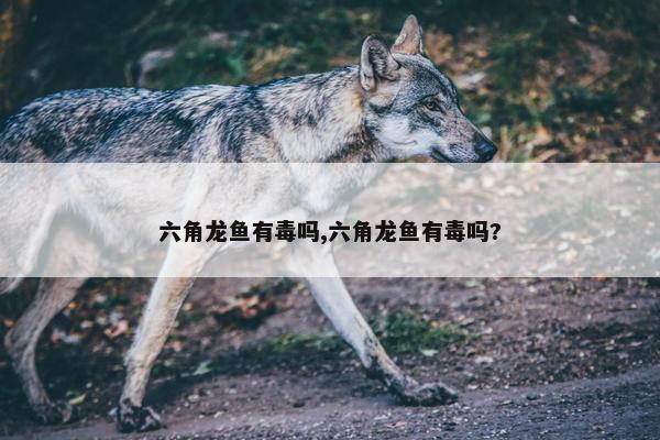 六角龙鱼有毒吗,六角龙鱼有毒吗?