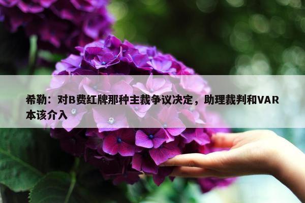 希勒：对B费红牌那种主裁争议决定，助理裁判和VAR本该介入