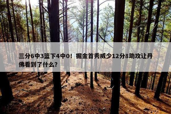 三分6中3篮下4中0！掘金首秀威少12分8助攻让丹佛看到了什么？