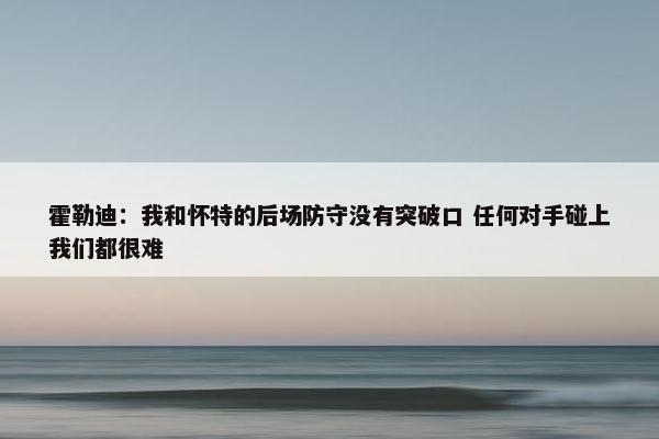 霍勒迪：我和怀特的后场防守没有突破口 任何对手碰上我们都很难