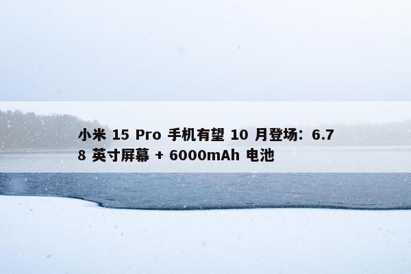 小米 15 Pro 手机有望 10 月登场：6.78 英寸屏幕 + 6000mAh 电池