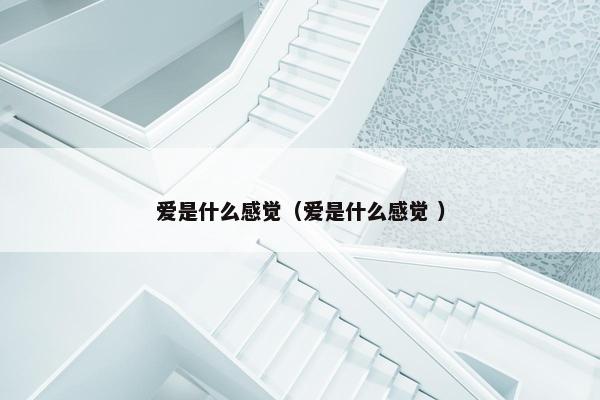 爱是什么感觉（爱是什么感觉 ）