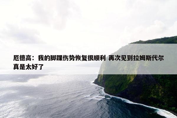 厄德高：我的脚踝伤势恢复很顺利 再次见到拉姆斯代尔真是太好了