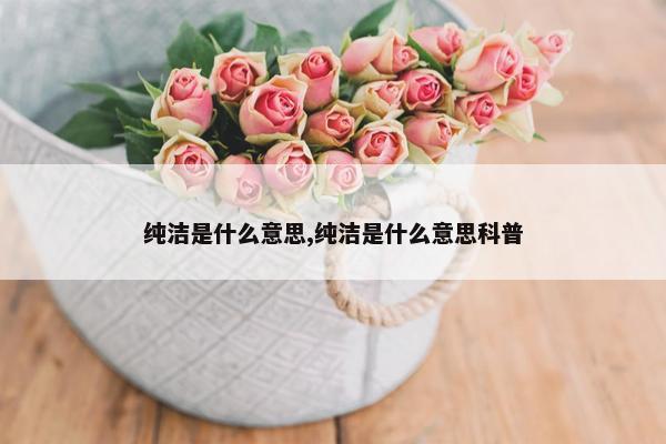 纯洁是什么意思,纯洁是什么意思科普