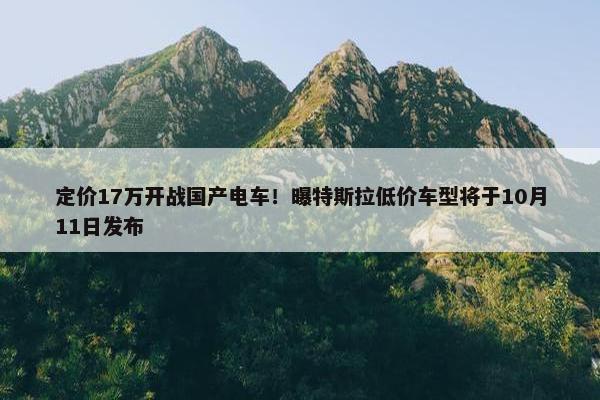 定价17万开战国产电车！曝特斯拉低价车型将于10月11日发布