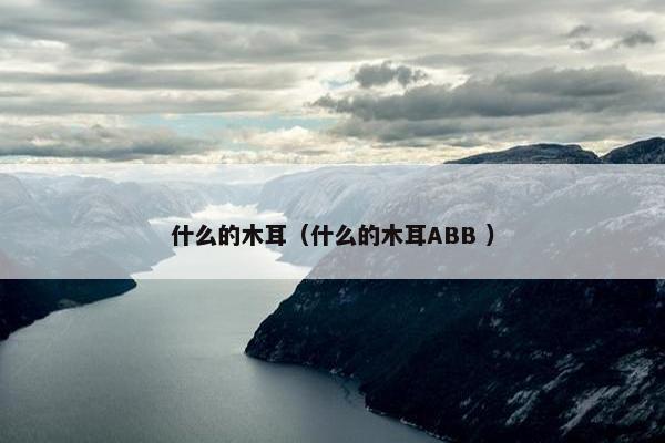 什么的木耳（什么的木耳ABB ）