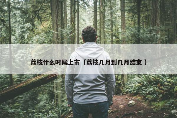 荔枝什么时候上市（荔枝几月到几月结束 ）