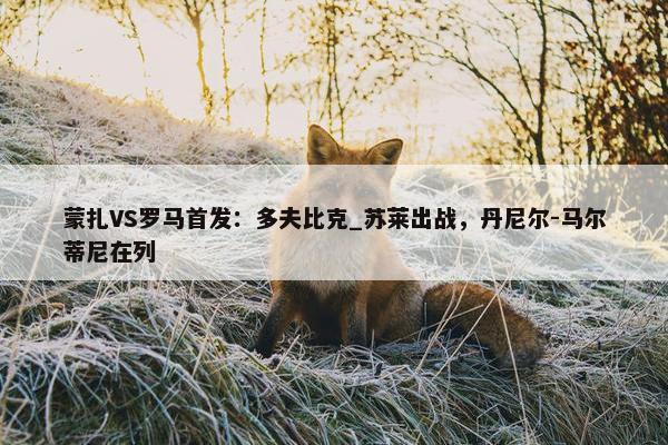 蒙扎VS罗马首发：多夫比克_苏莱出战，丹尼尔-马尔蒂尼在列