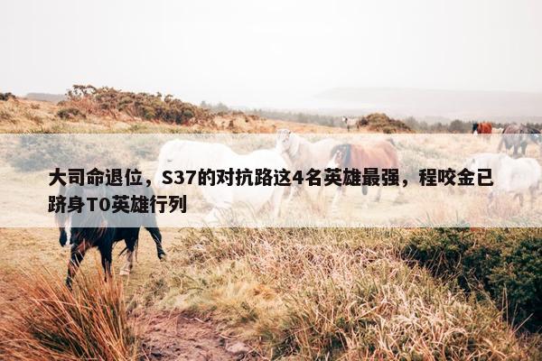 大司命退位，S37的对抗路这4名英雄最强，程咬金已跻身T0英雄行列