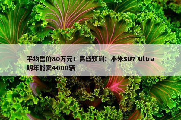 平均售价80万元！高盛预测：小米SU7 Ultra明年能卖4000辆