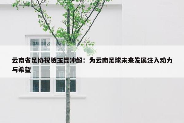 云南省足协祝贺玉昆冲超：为云南足球未来发展注入动力与希望