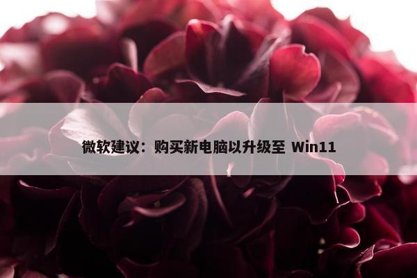 微软建议：购买新电脑以升级至 Win11