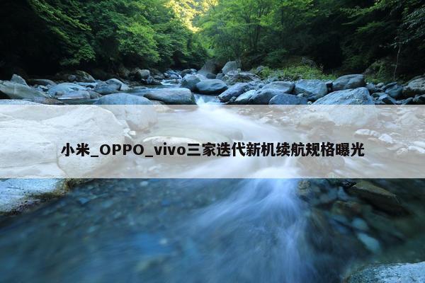 小米_OPPO_vivo三家迭代新机续航规格曝光