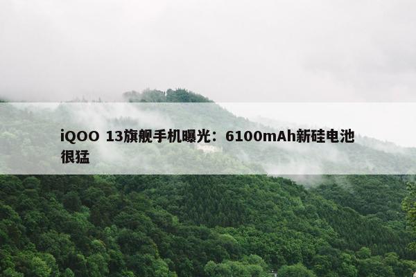 iQOO 13旗舰手机曝光：6100mAh新硅电池很猛