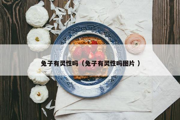 兔子有灵性吗（兔子有灵性吗图片 ）