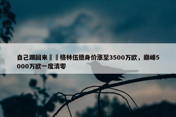 自己踢回来❗️格林伍德身价涨至3500万欧，巅峰5000万欧一度清零