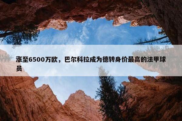 涨至6500万欧，巴尔科拉成为德转身价最高的法甲球员