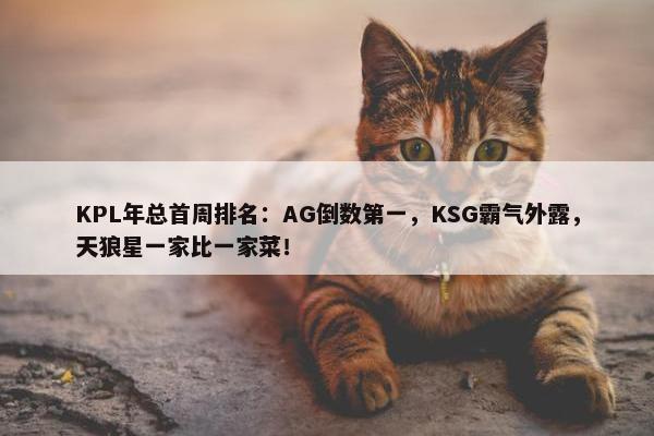 KPL年总首周排名：AG倒数第一，KSG霸气外露，天狼星一家比一家菜！