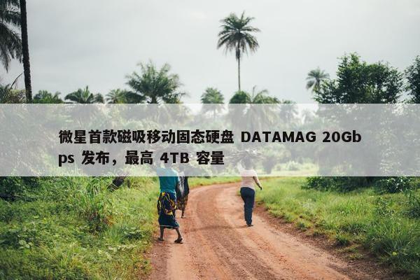 微星首款磁吸移动固态硬盘 DATAMAG 20Gbps 发布，最高 4TB 容量