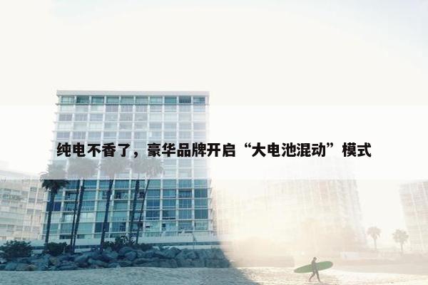 纯电不香了，豪华品牌开启“大电池混动”模式