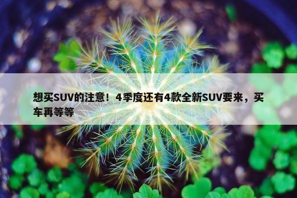 想买SUV的注意！4季度还有4款全新SUV要来，买车再等等