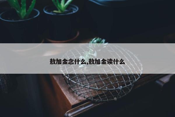 敖加金念什么,敖加金读什么