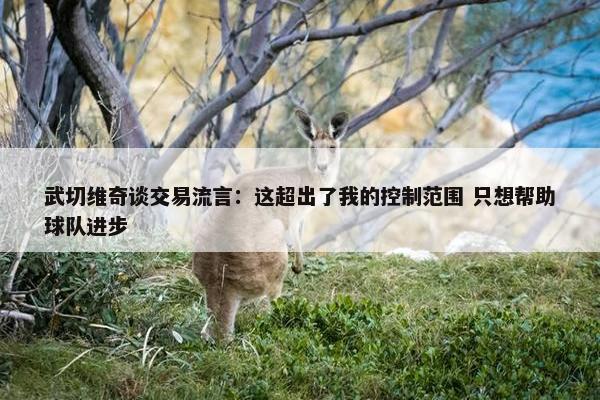 武切维奇谈交易流言：这超出了我的控制范围 只想帮助球队进步