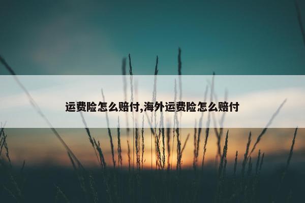 运费险怎么赔付,海外运费险怎么赔付