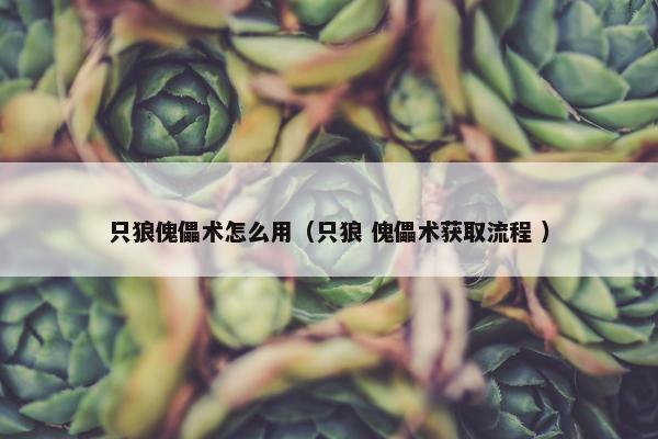 只狼傀儡术怎么用（只狼 傀儡术获取流程 ）