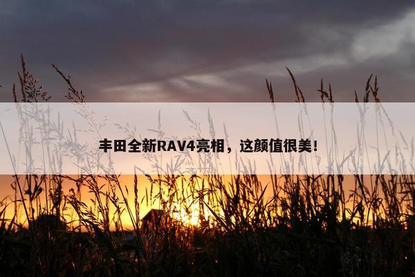 丰田全新RAV4亮相，这颜值很美！