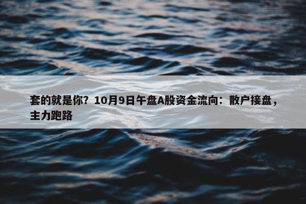 套的就是你？10月9日午盘A股资金流向：散户接盘，主力跑路