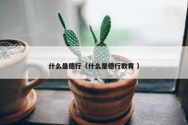 什么是德行（什么是德行教育 ）