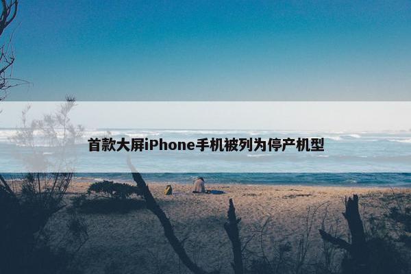 首款大屏iPhone手机被列为停产机型