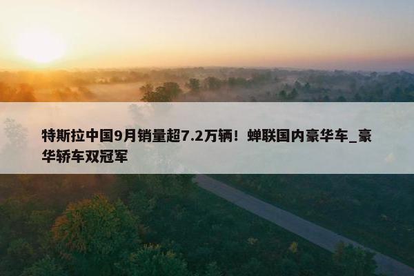 特斯拉中国9月销量超7.2万辆！蝉联国内豪华车_豪华轿车双冠军