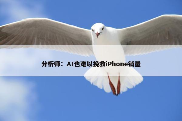 分析师：AI也难以挽救iPhone销量