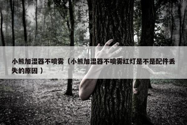 小熊加湿器不喷雾（小熊加湿器不喷雾红灯是不是配件丢失的原因 ）