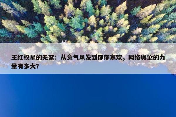 王红权星的无奈：从意气风发到郁郁寡欢，网络舆论的力量有多大？