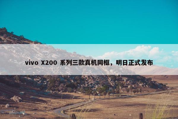 vivo X200 系列三款真机同框，明日正式发布