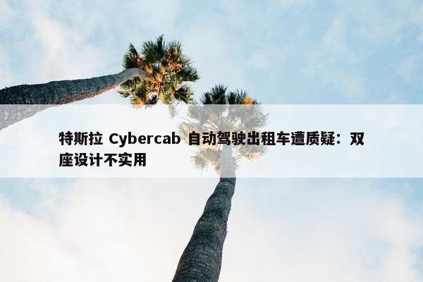 特斯拉 Cybercab 自动驾驶出租车遭质疑：双座设计不实用