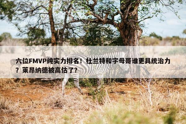 六位FMVP纯实力排名！杜兰特和字母哥谁更具统治力？莱昂纳德被高估了？