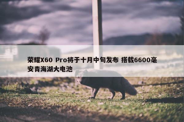 荣耀X60 Pro将于十月中旬发布 搭载6600毫安青海湖大电池