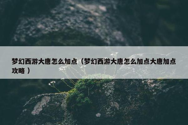 梦幻西游大唐怎么加点（梦幻西游大唐怎么加点大唐加点攻略 ）