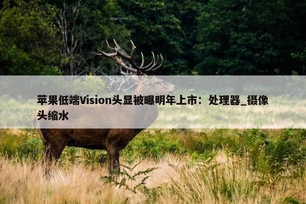 苹果低端Vision头显被曝明年上市：处理器_摄像头缩水