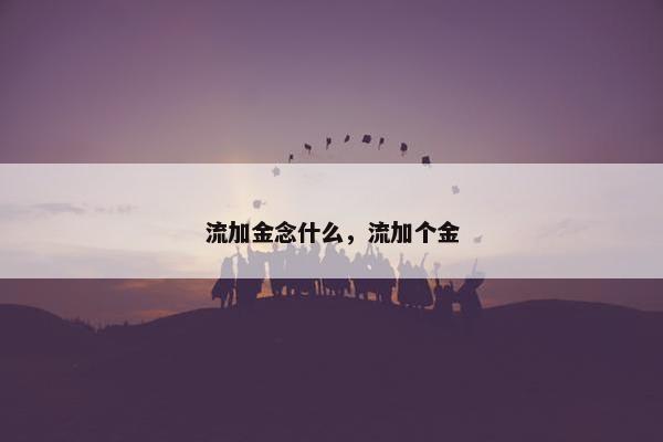 流加金念什么，流加个金