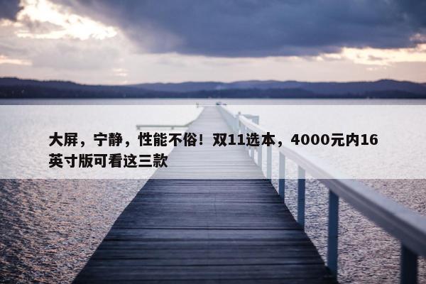 大屏，宁静，性能不俗！双11选本，4000元内16英寸版可看这三款