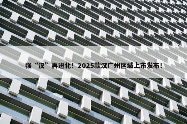 强“汉”再进化！2025款汉广州区域上市发布！