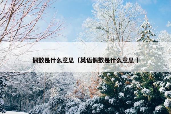 偶数是什么意思（英语偶数是什么意思 ）