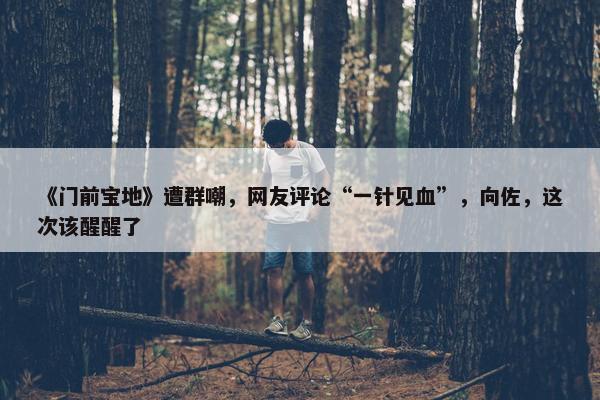 《门前宝地》遭群嘲，网友评论“一针见血”，向佐，这次该醒醒了